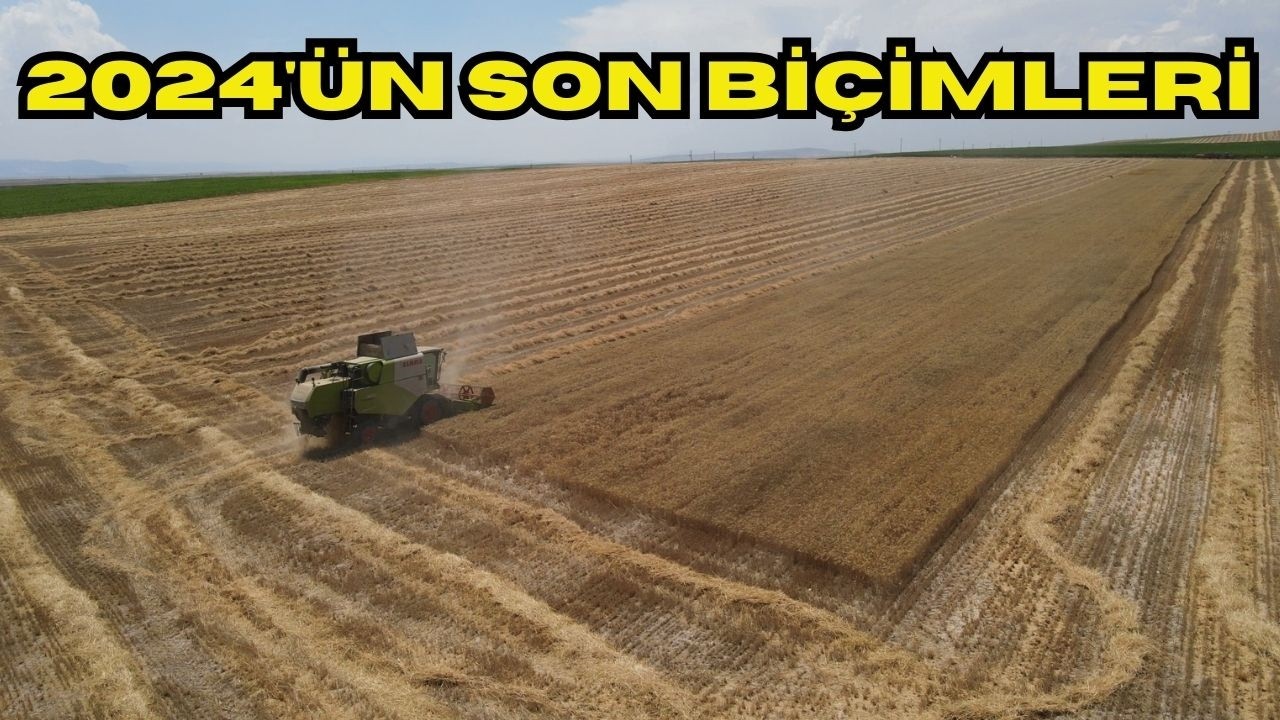 BİÇİLECEK SON TARLALAR! GECE GÜNDÜZ BİÇİM YAPTIK 2 GÜNDE BİTİRDİK!
