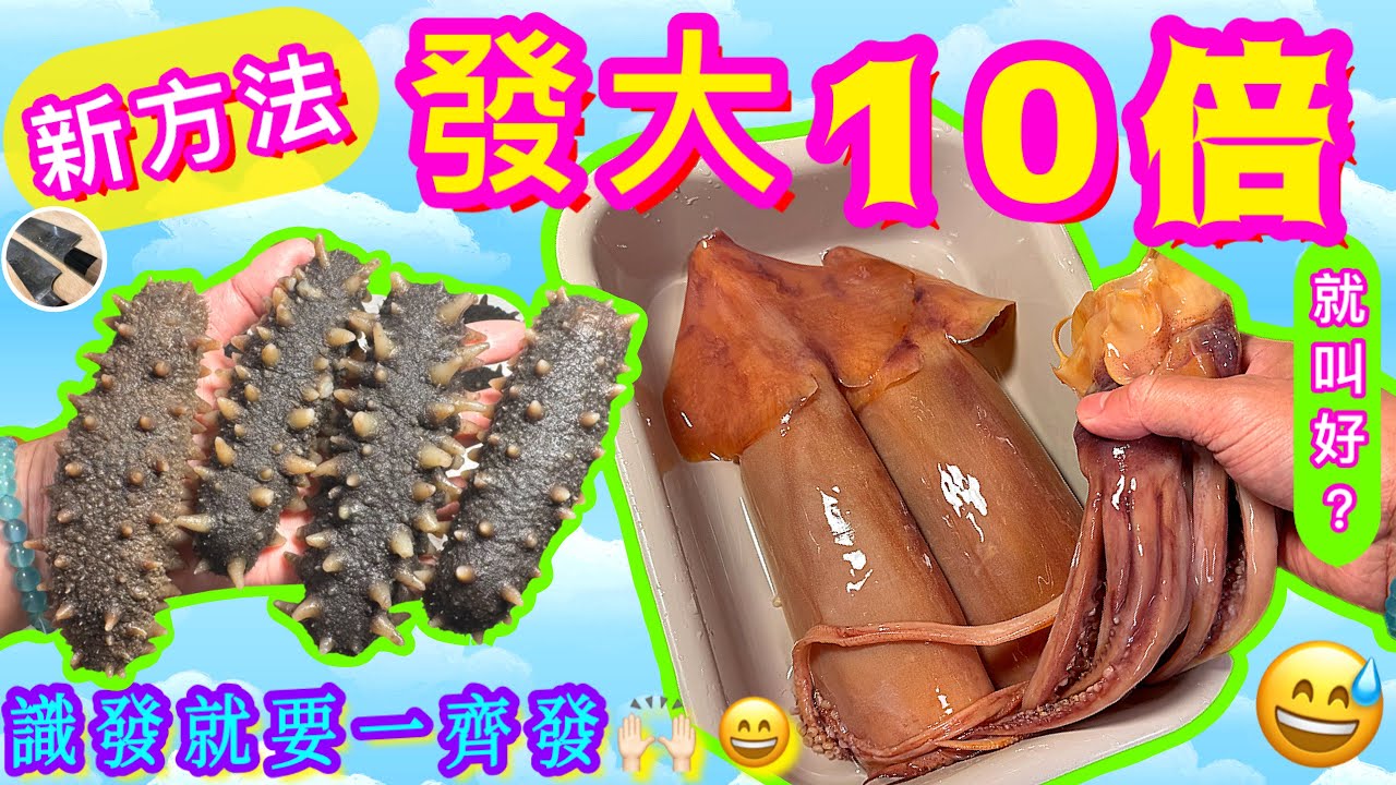 【海參浸發/土魷浸發】超抵買爽脆⭐️罕見土魷🦑一晚發起合新手👍🏻關東參發得大末必好🙈率先雙發🎋🧧🙌🏻🥳