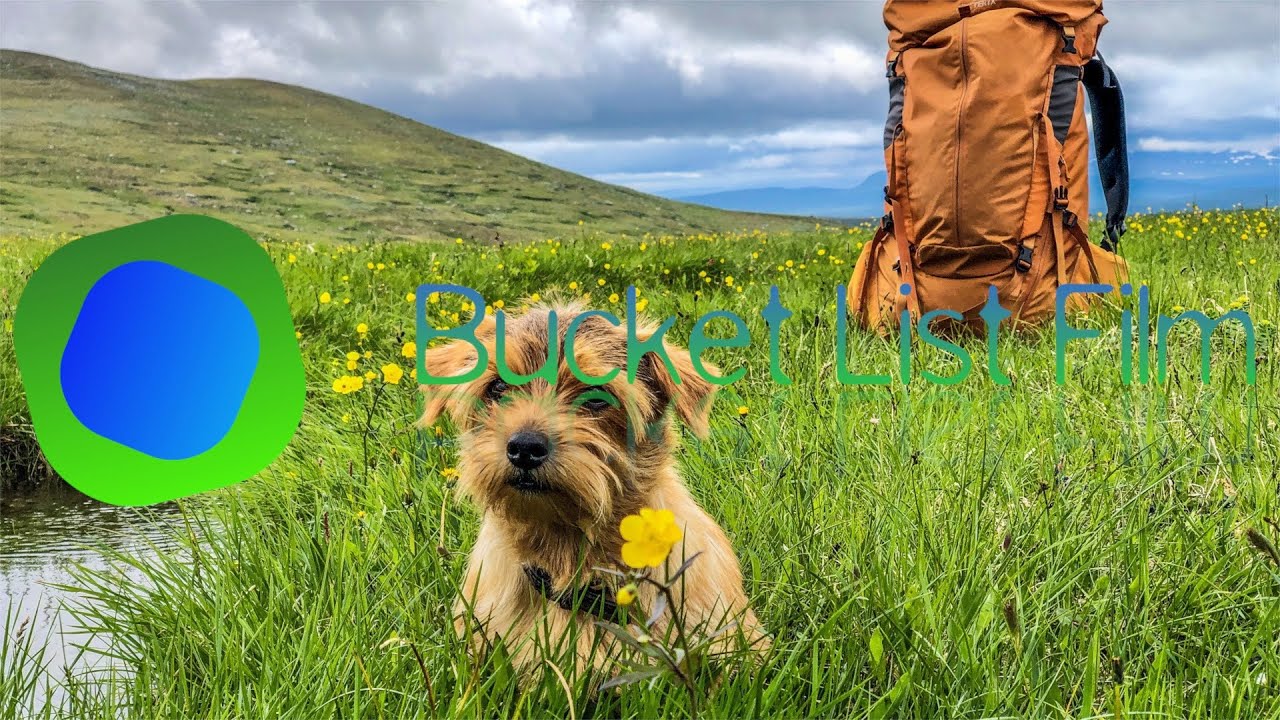 Vandring med hund - Ammarfjället runt