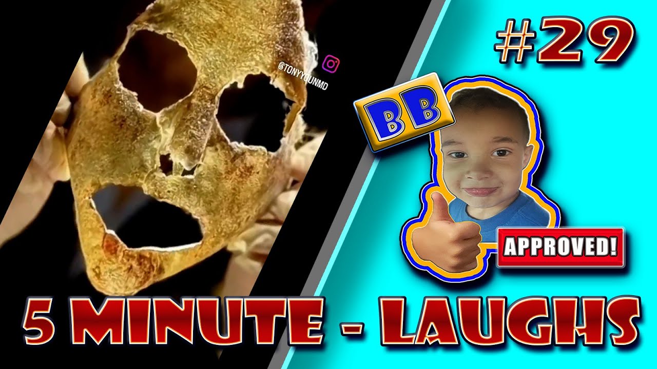 Evo Skits 5 Minute Laughs #29 #Funnyvideos #Compilation