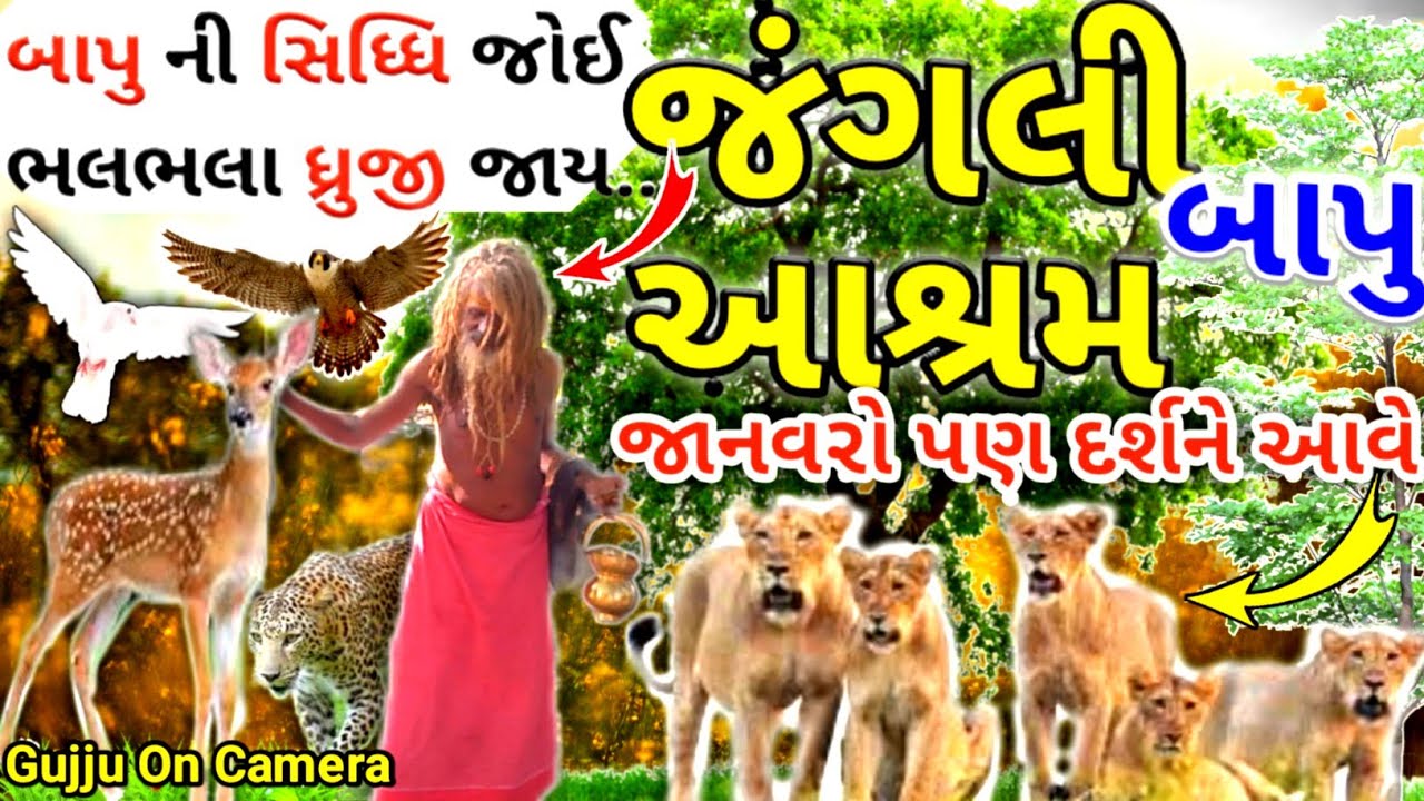 જંગલી બાપુ આશ્રમ | જંગલની અંદર આવેલી અદભુત જગ્યા | Jangli Bapu Ashram #janglibapu