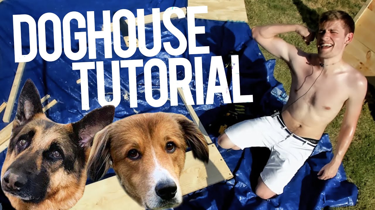 How to build a doghouse
