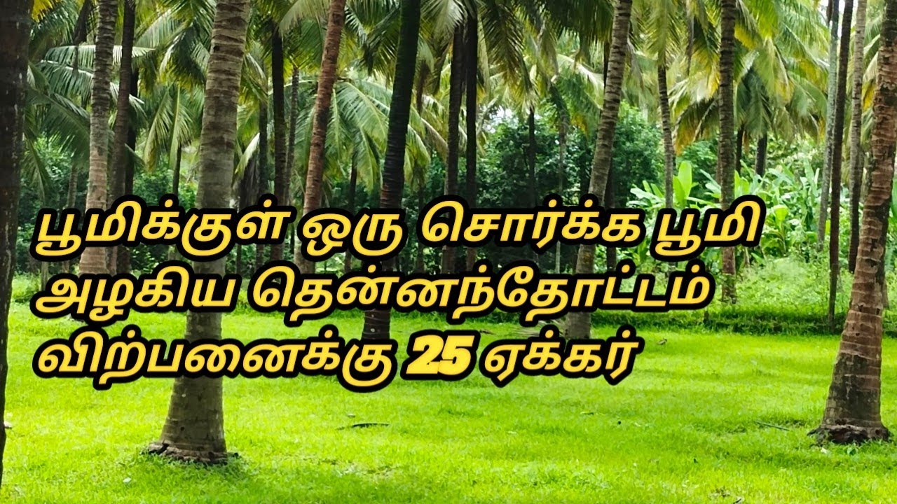 coconut farm, agricultural land, mango farm, தென்னந்தோப்பு விற்பனைக்கு, விவசாய பூமி விற்பனைக்கு