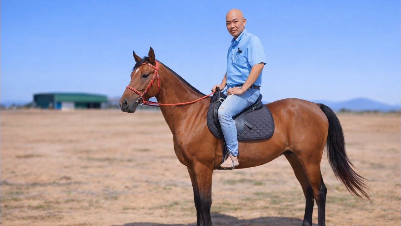 HÔM NAY THÉP ĐÓN CHIẾN MÃ 🐎 TRIỆU PHONG VỀ TRANG TRẠI | CUỘC SỐNG NÔNG DÂN