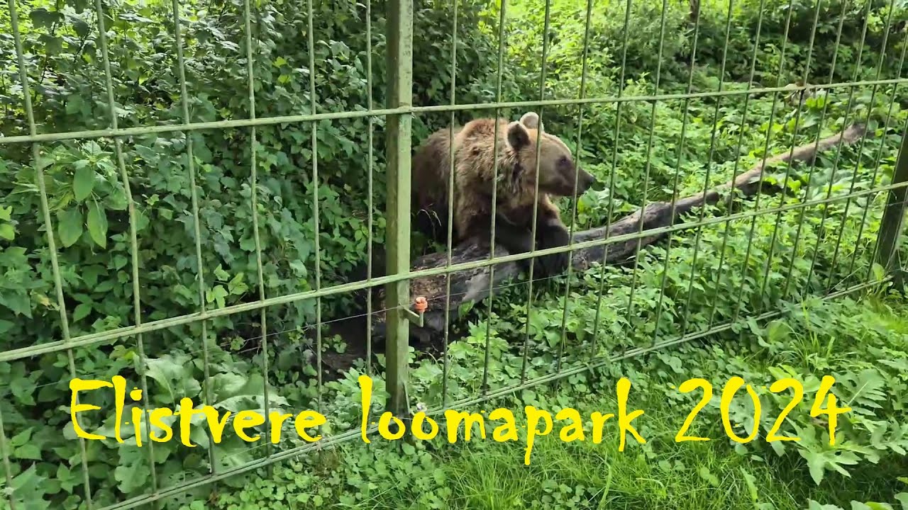 Elistvere loomapark 2024