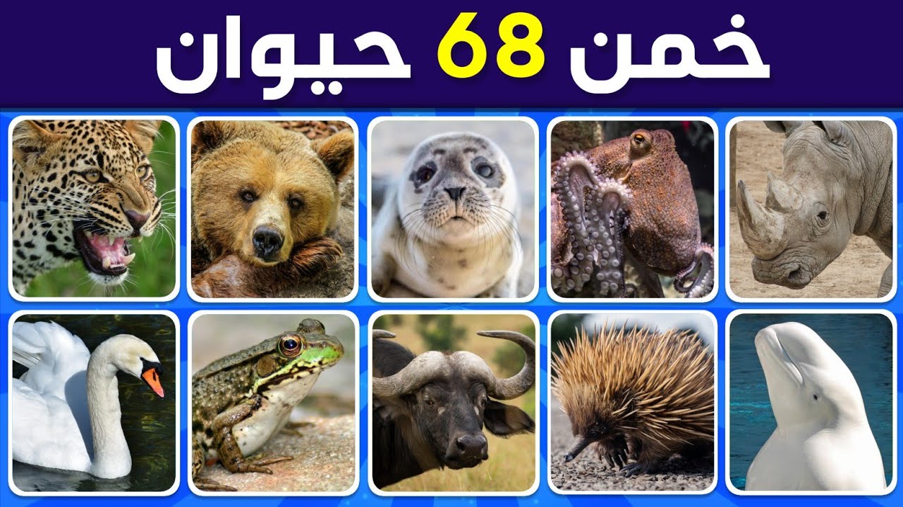 خمن اسم الحيوان من الصور - خمن 68 حيوان 🐾| سهل، متوسط، صعب، مستحيل 🤯