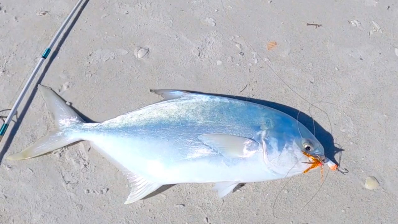 Easy Way To Catch BEACH Fish For Dinner (Shore Fishing The Florida Surf)