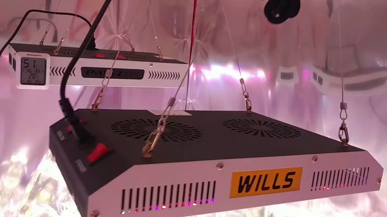 21+only..The Wills cree cob 1000w led grow light