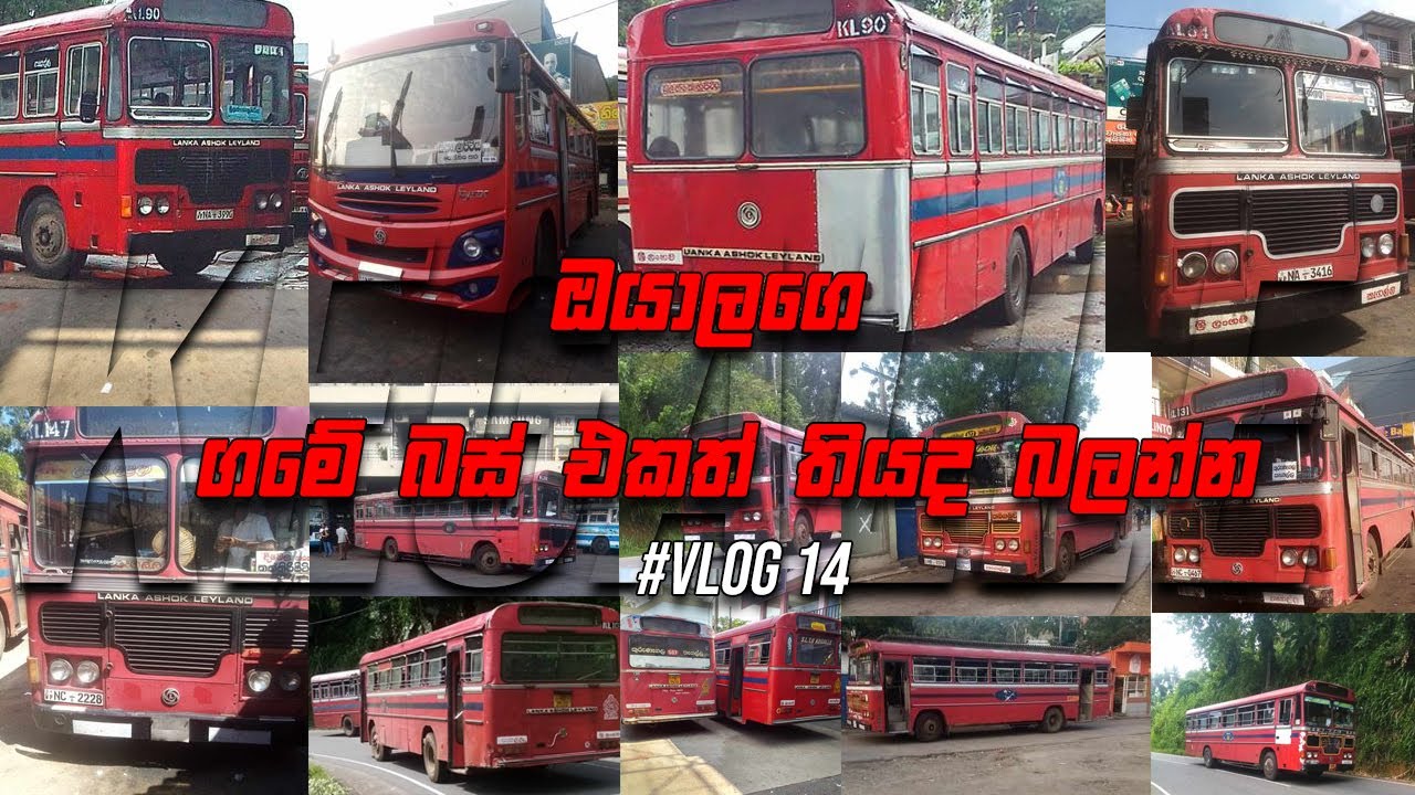 Photos of all the buses at the Kegalle depot | කෑගල්ල ඩිපෝ එකට තියන සේරම බස් වල පොටෝ