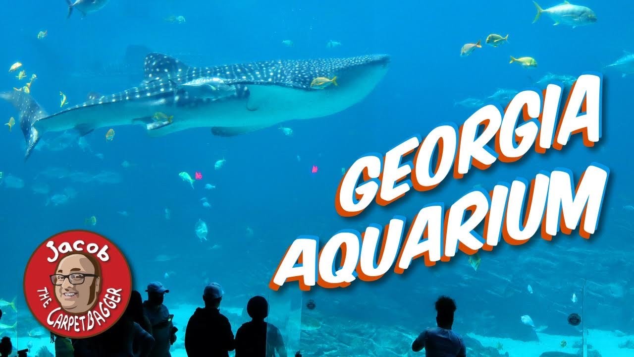 Georgia Aquarium
