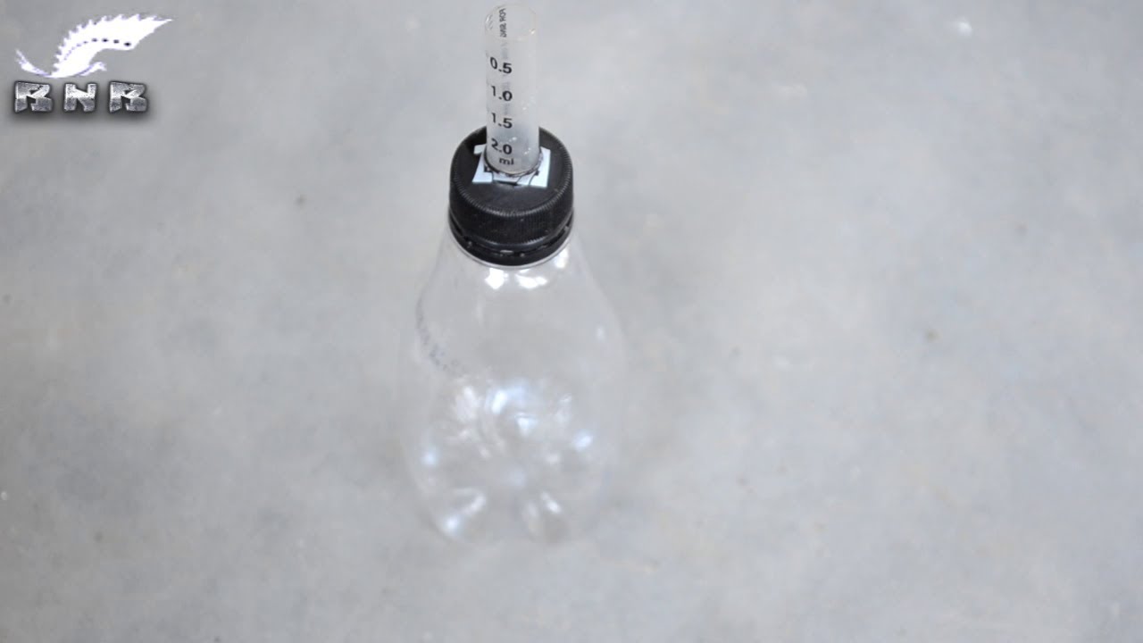How To Make Hand Feeder For Baby Pigeons