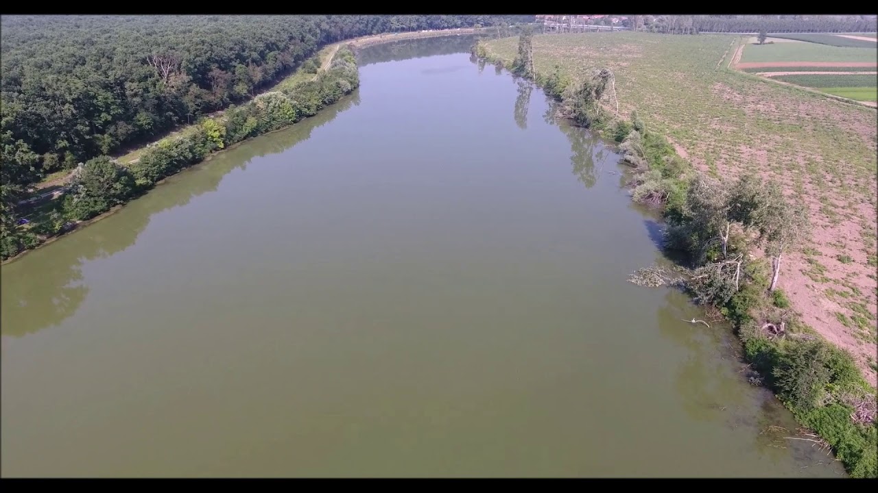 Bosut i takmičenje 28.06.2020.