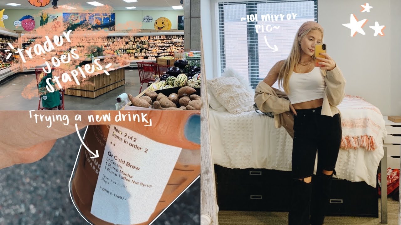 trader joes staples + stressing about the future lol [vlog]