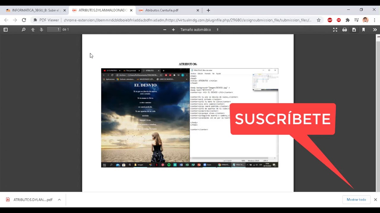 Ver archivos PDF en Google Chrome SIN DESCARGAR