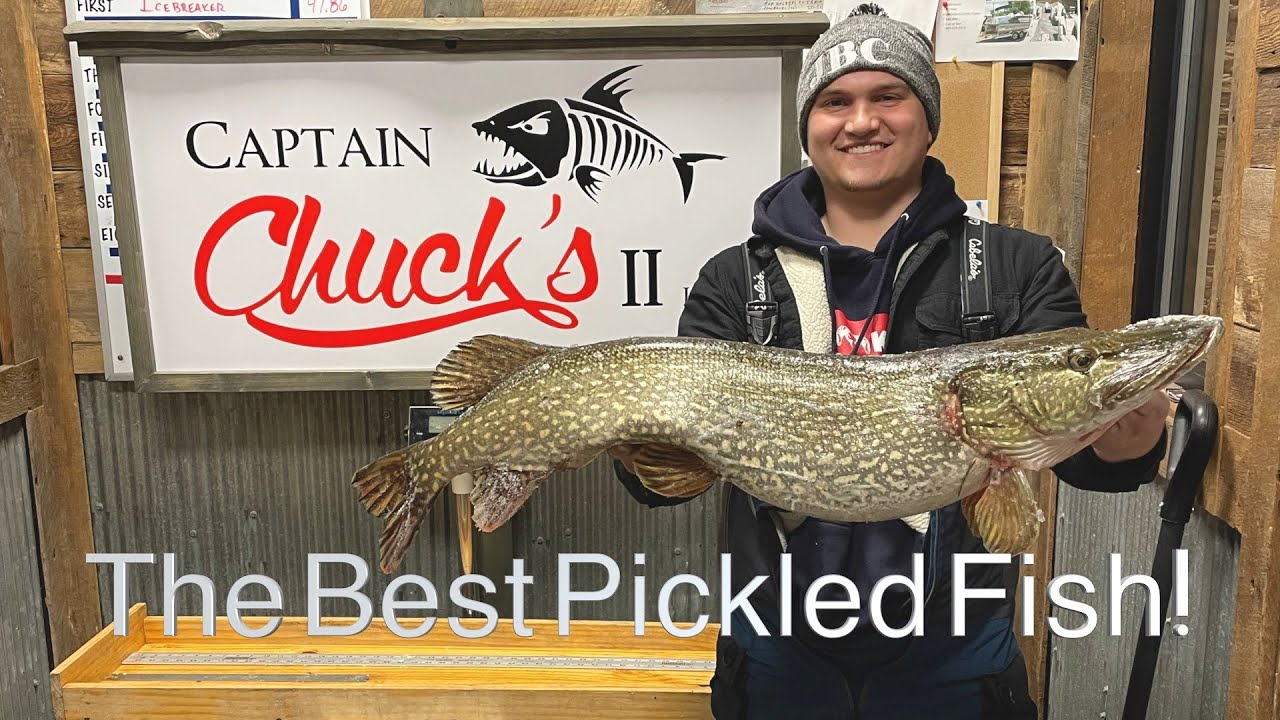 The Best Pickled Fish!!  Pickled Northern Pike! As seen on Michigan Out Of Doors