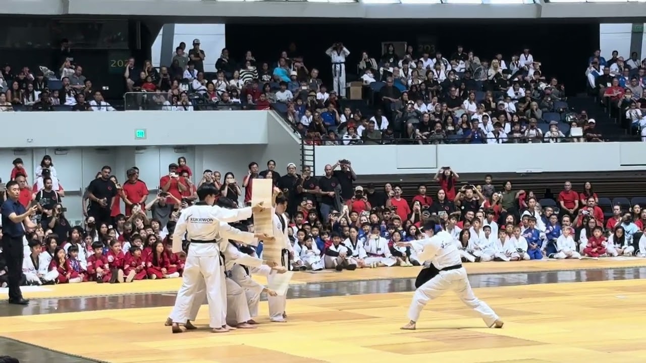 Kukkiwon Demo Team at World Taekwondo Hanmadang 2025