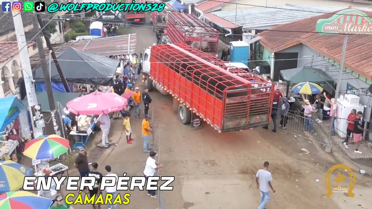 Toros en Monagrillo 4 de octubre 2025 Wolf Productions 