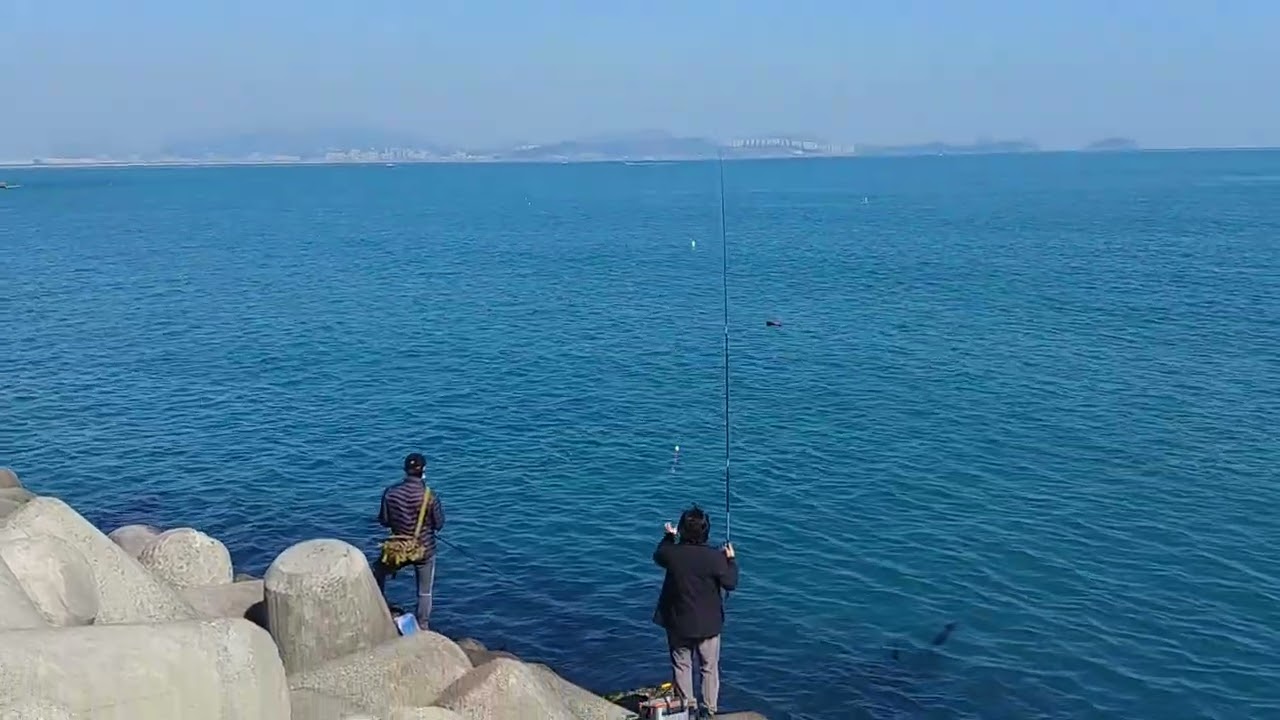 부산 가덕도 새바지  Busan Gadeokdo Daehang Saebagi Breakwater Hanghak Saury Fishing