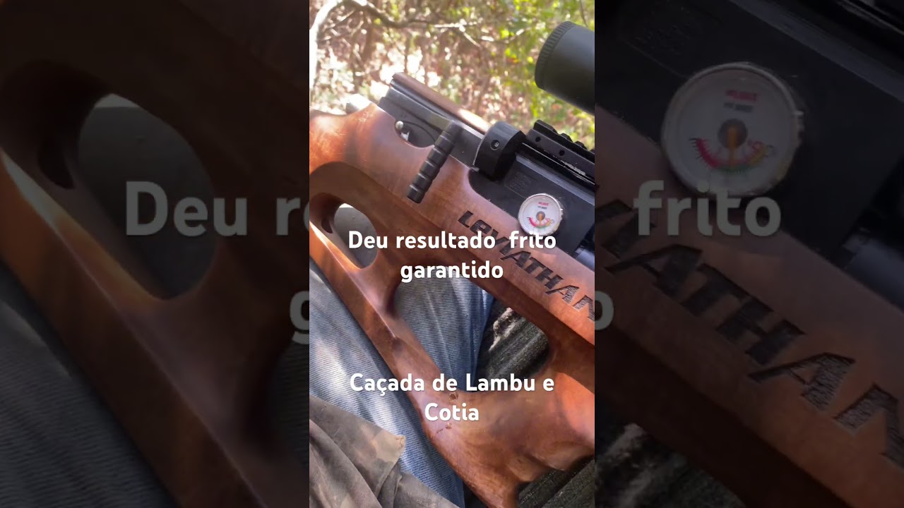 Serva de Cotia e Lambu  hoje deu serto  rendeu um bom frito # Lambu preta top