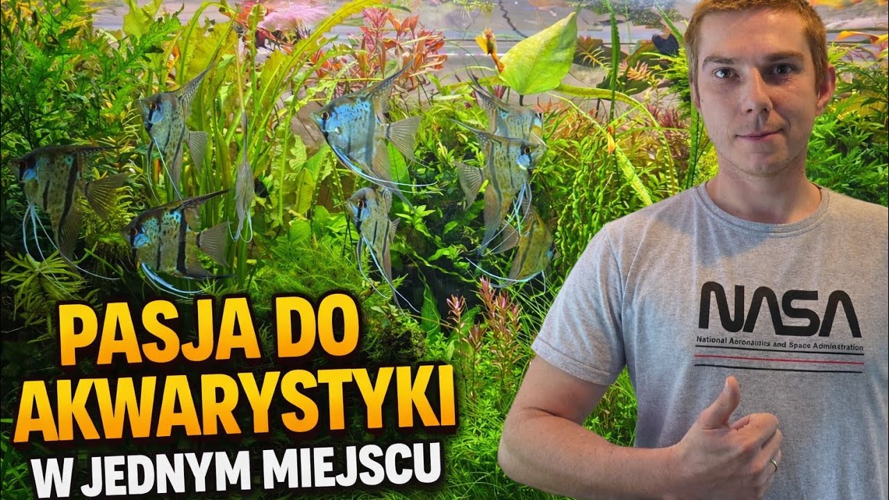 Pasja do akwarystyki w jednym miejscu! Wizyta u Bartosza: 450L, Akwaria Morskie i Terraria 🐠🌿