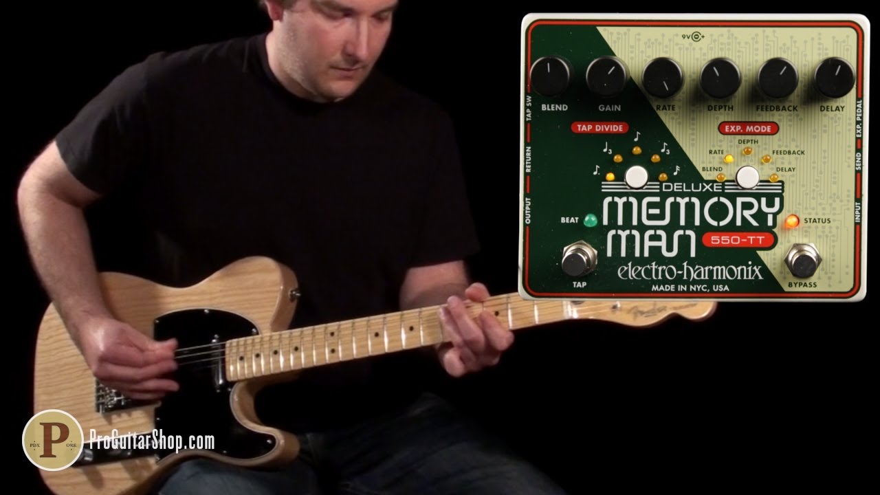 Electro-Harmonix Deluxe Memory Man 550-TT