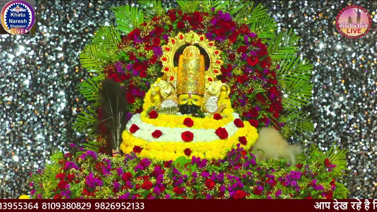  षष्टम वार्षिक महोत्सव  पावन कीर्तन  खाटू श्याम मंदिर,आदर्श कॉलोनी, शाजापुर