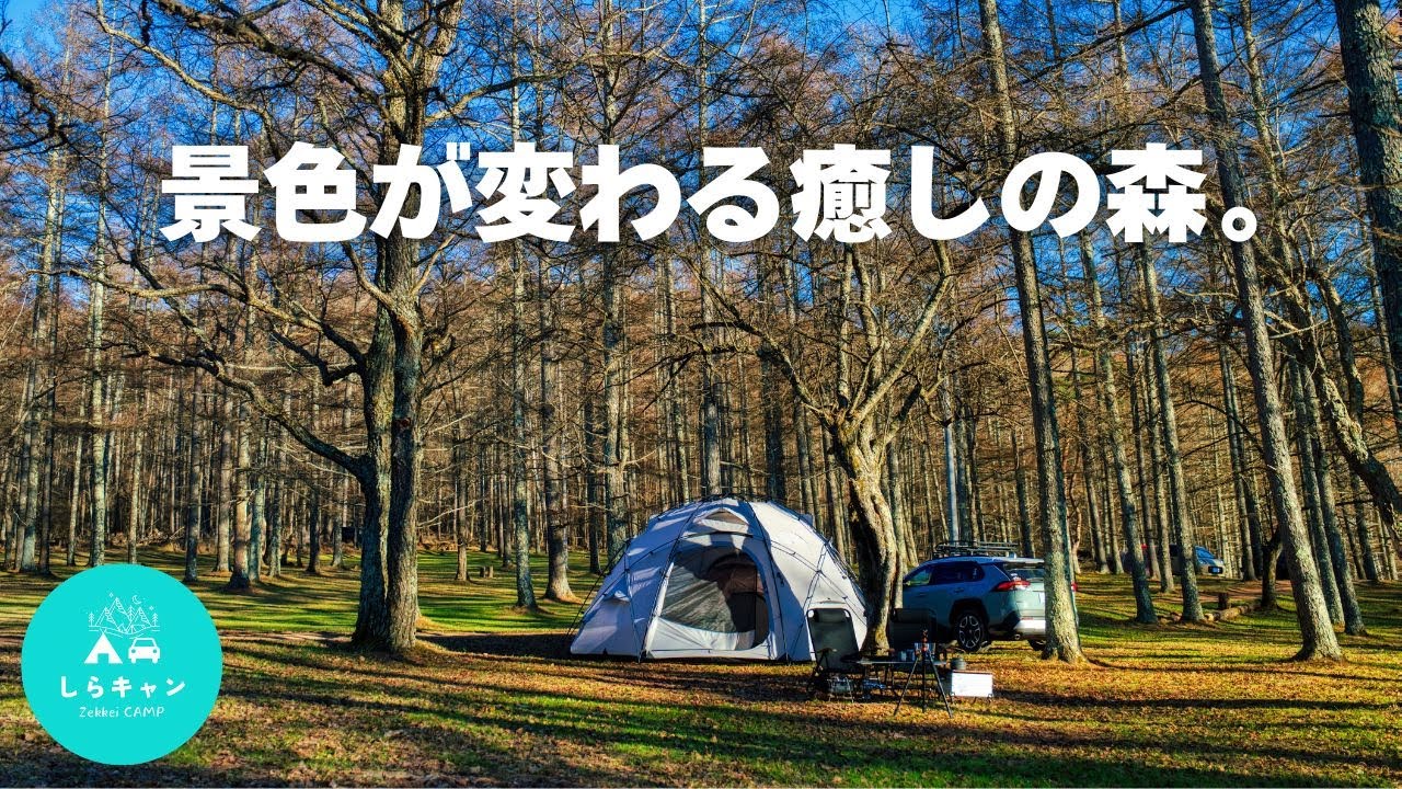 景色が変わる森と焚き火。標高1300mの静かなキャンプ