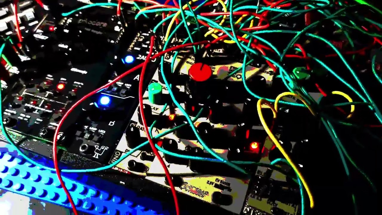 Black Cockatoo Techno with Roland T8 and Ae Modular