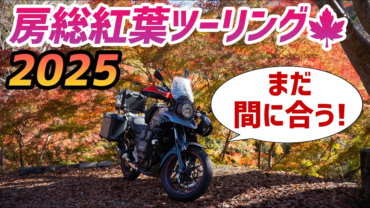 【モトブログ】ギリまだ間に合う！房総で紅葉ツーリングするならここ!!【Vストローム250】