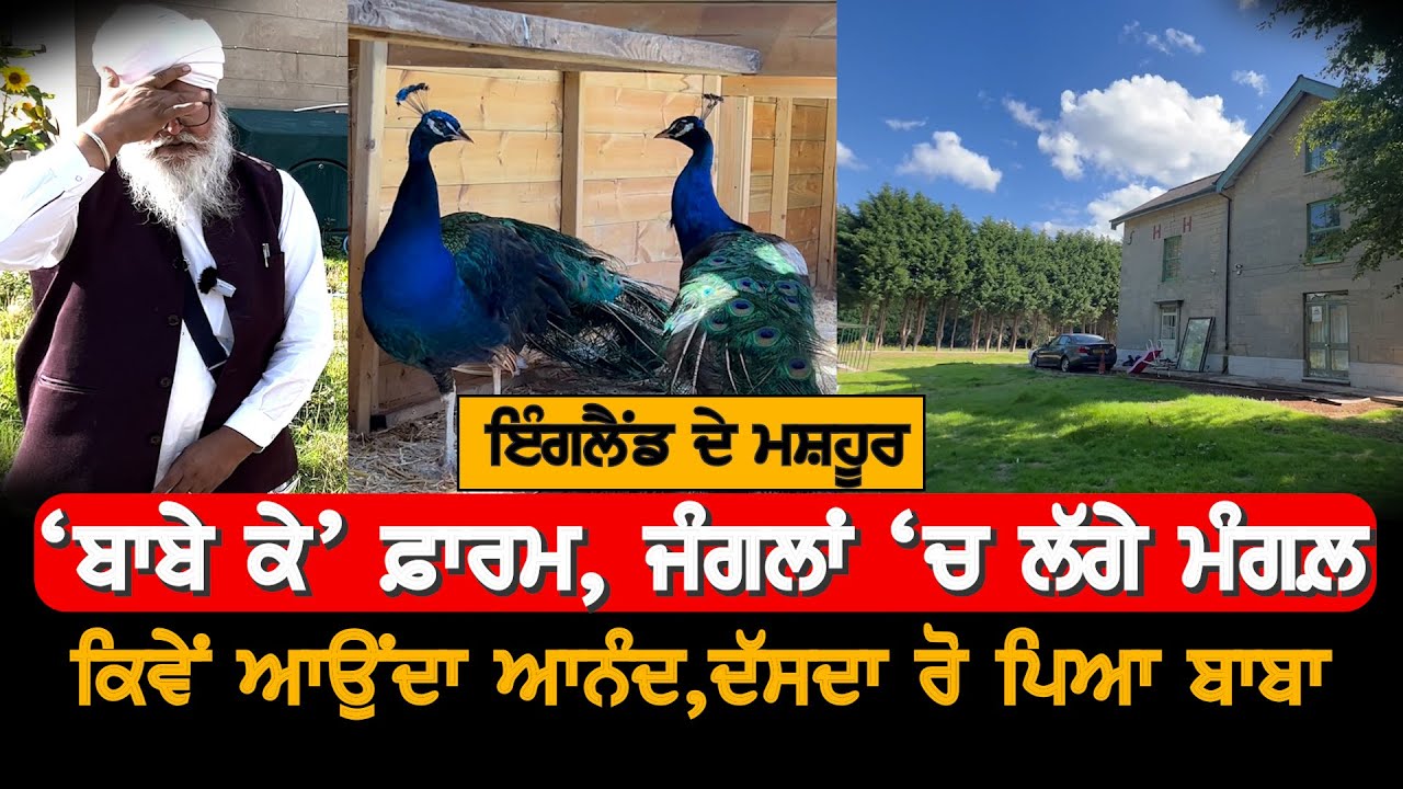 Babe ke Farm England, Sant Baba Nahar Singh Ji , V9 Punjabi Canada