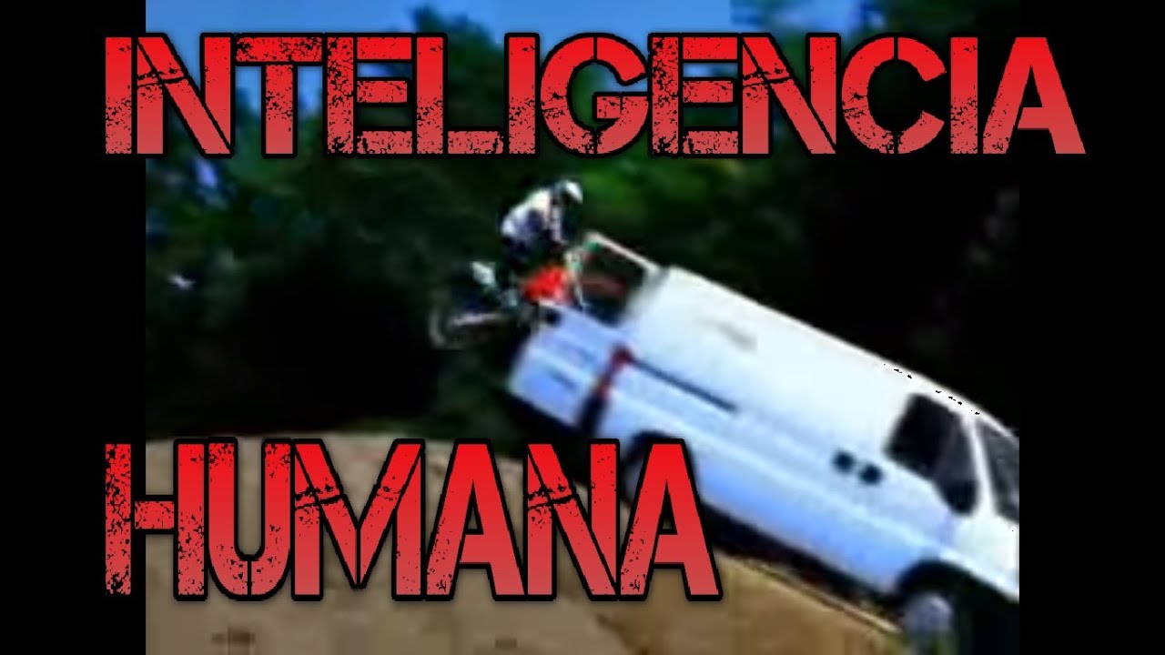 La inteligencia humana / human intelligence