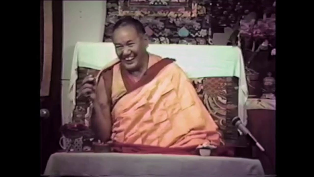 Laughing with Lama