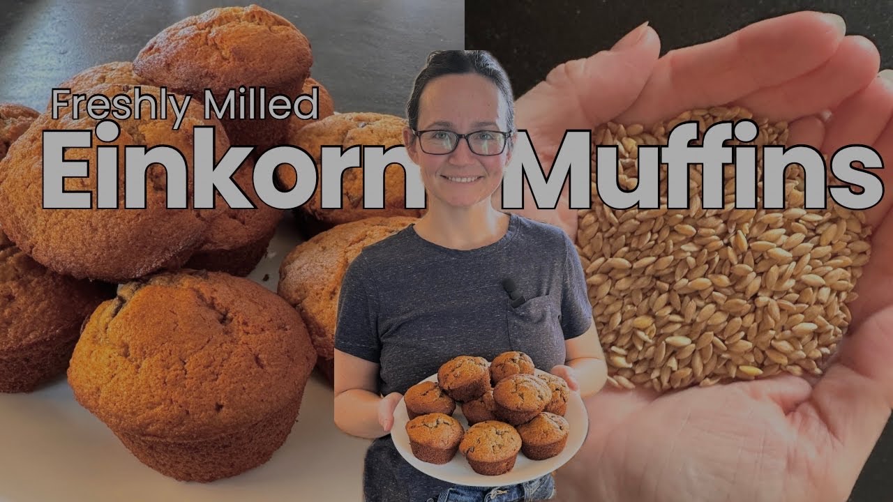 How to Make Freshly Milled Einkorn Muffins