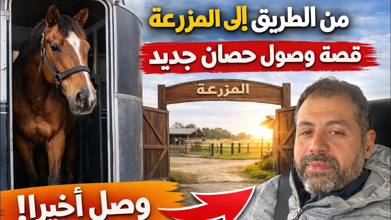  نقل الخيل الجديد إلى المزرعة