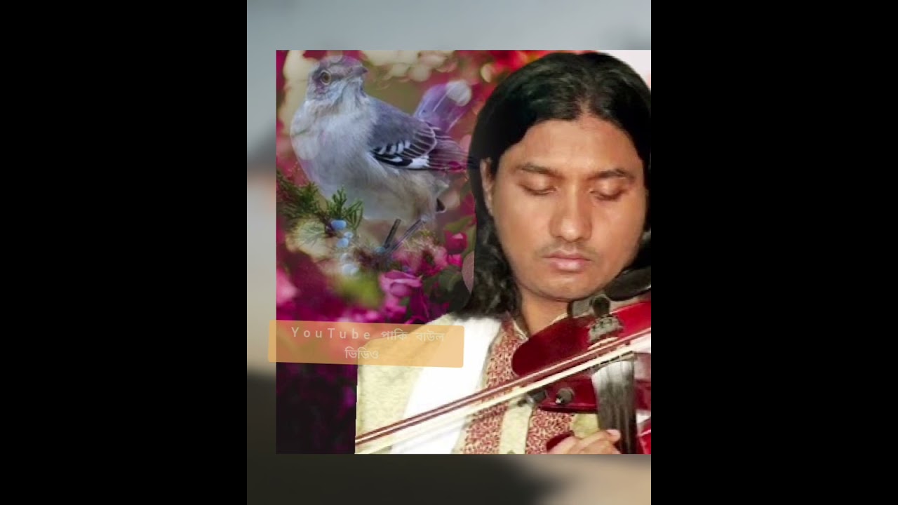  YouTube পাখি বাউল ভিডিও  বাউল শিল্পী আমি সরকার কারা কারা 