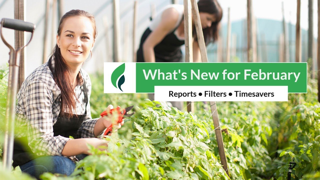What's New for February 2026