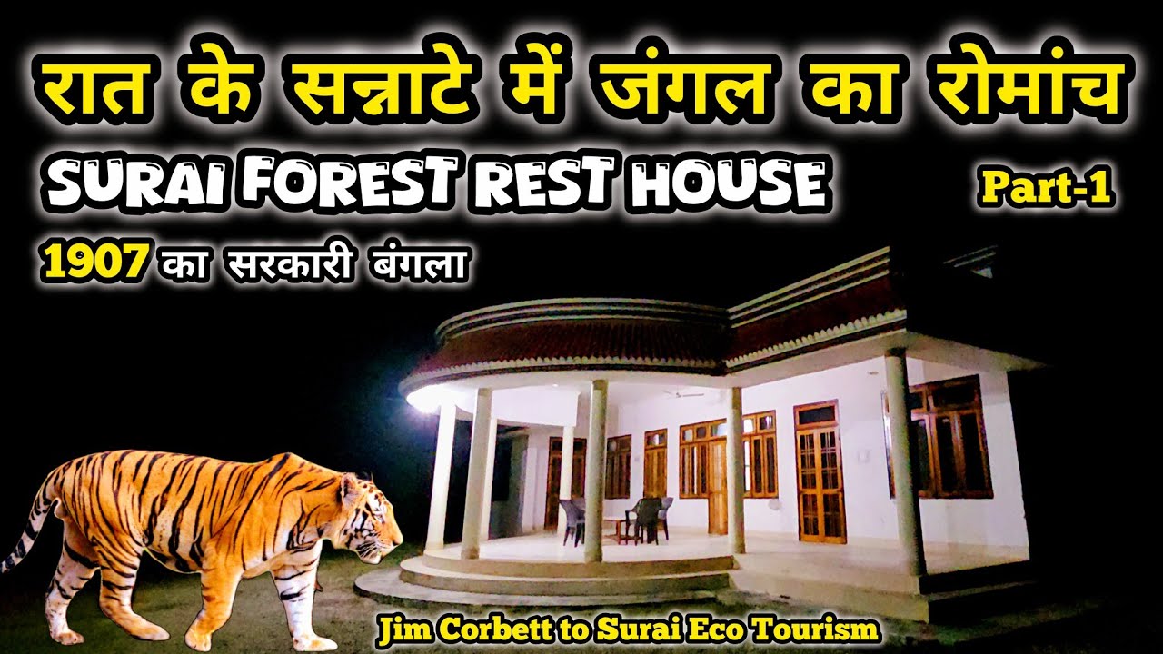 Night in the Deep Forest | Jim Corbett to Surai Eco Tourism | Surai Forest Rest House | Khatima