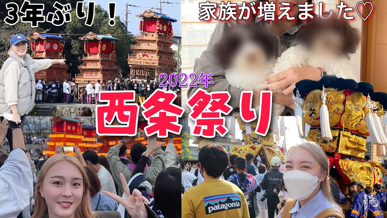 【西条祭り】３年ぶりの祭りがスゴすぎた‼️そして家族が増えました！！！【オーストラリアンラブラドゥードル】
