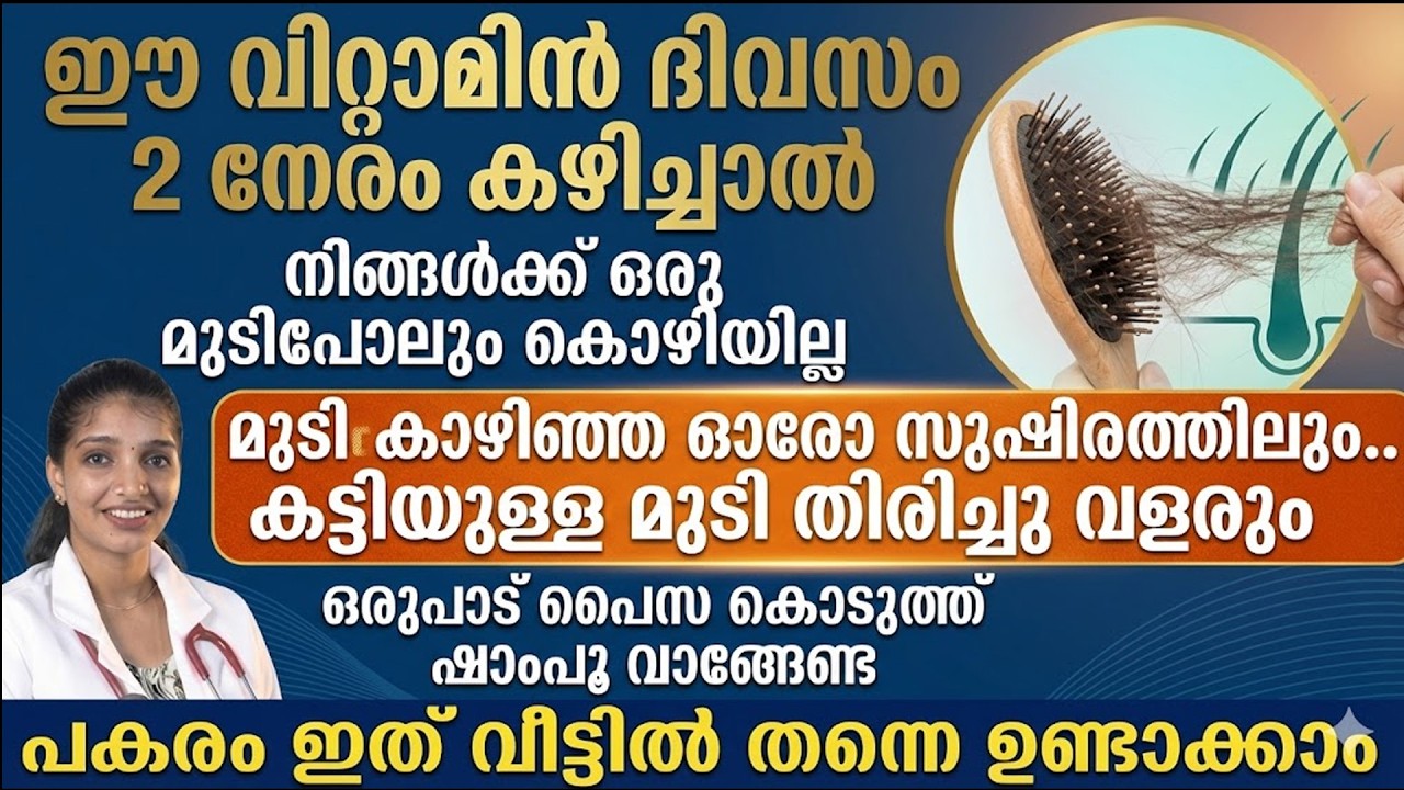 ഈ വിറ്റാമിൻ ദിവസം രണ്ടു നേരം കഴിച്ചാൽ ഒരു മുടി പോലും കൊഴിയില്ല. ഈ ഒരു ഒറ്റമൂലി ചെയ്തു നോക്കു..??
