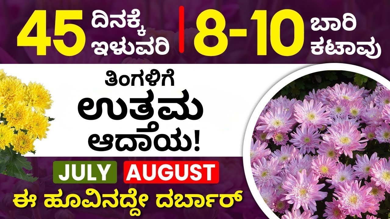 Chrysanthemum Farming in Kannada: Profitable Flower Cultivation Guide
