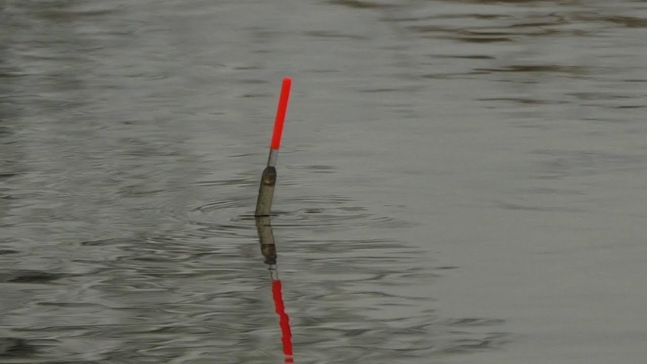 Sypnąłem pęczakiem i podeszły TŁUSTE SZTUKI !!! Crystal Waggler na małym zapomnianym kanale !!!