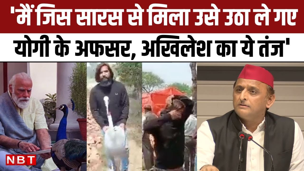 Akhilesh Yadav Aarif से Saras छीनने पर बोले- मेरे जाने से वो सारस उठा ले गए, Modi का मोर लेकर दिखाओ