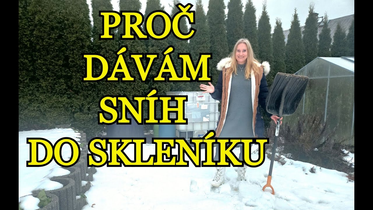 PROČ DÁVÁM SNÍH DO SKLENÍKU? | 5 důvodů, proč je prospěšné pro rostliny dávat sníh do skleníku