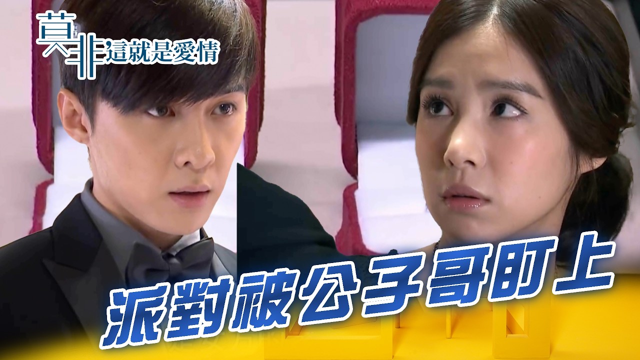 【莫非，這就是愛情】劈腿姊夫辦離婚派對 妹妹火爆開嗆富二代｜精華