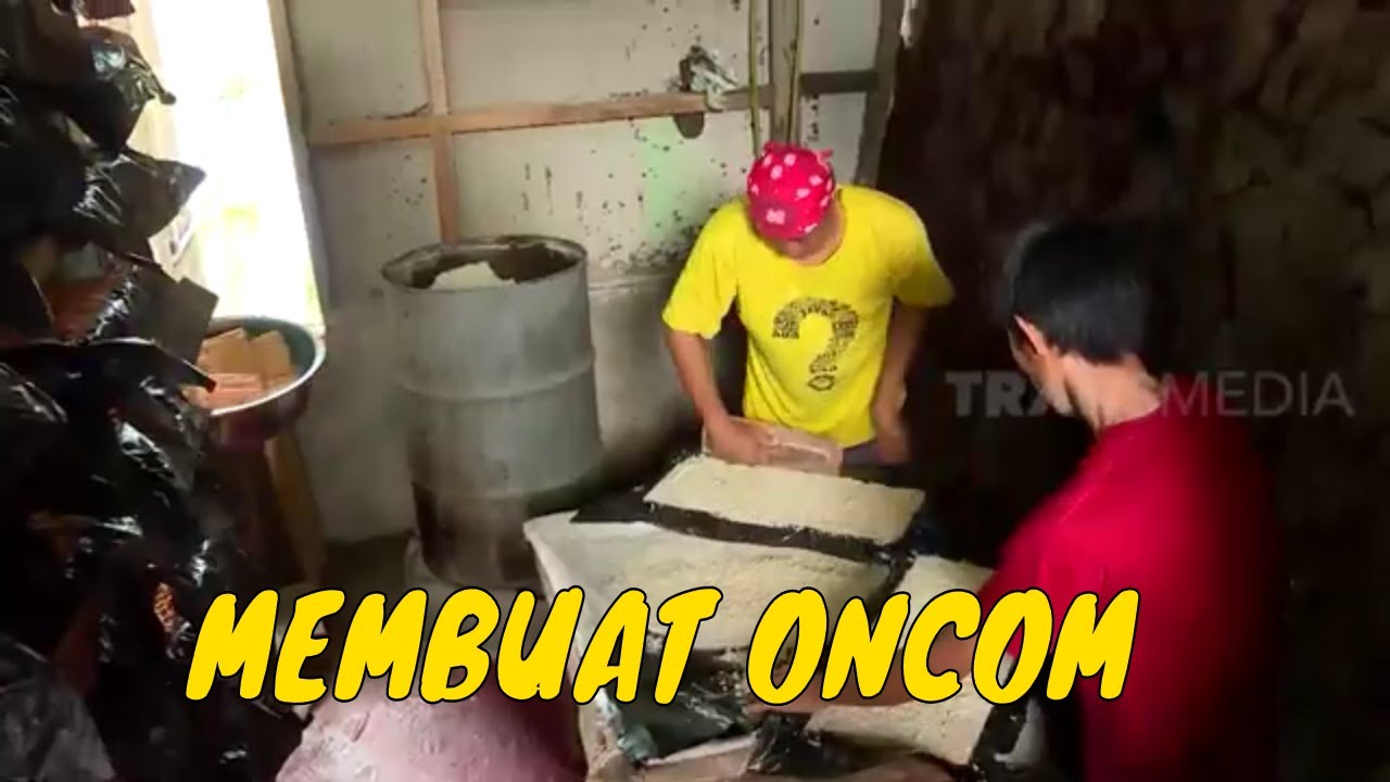 MEMBUAT ONCOM | JEJAK SI GUNDUL