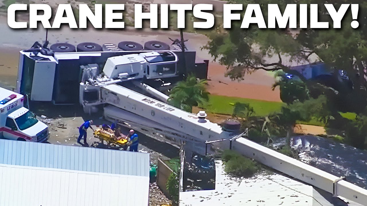 Family Crane vs Crane: When a Family Name Became a Nightmare in Florida
