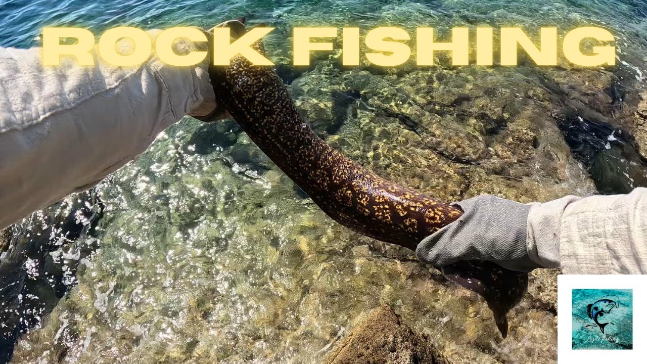 Rock fishing on the  Korčula island