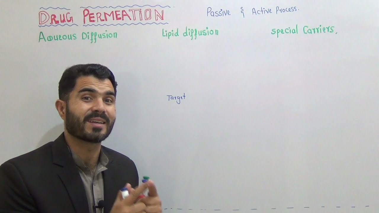 Drug Permeation Basic Pharmacology, Drug carriers Lipid Diffusion, Aqueous Diffusion P glycoprotein