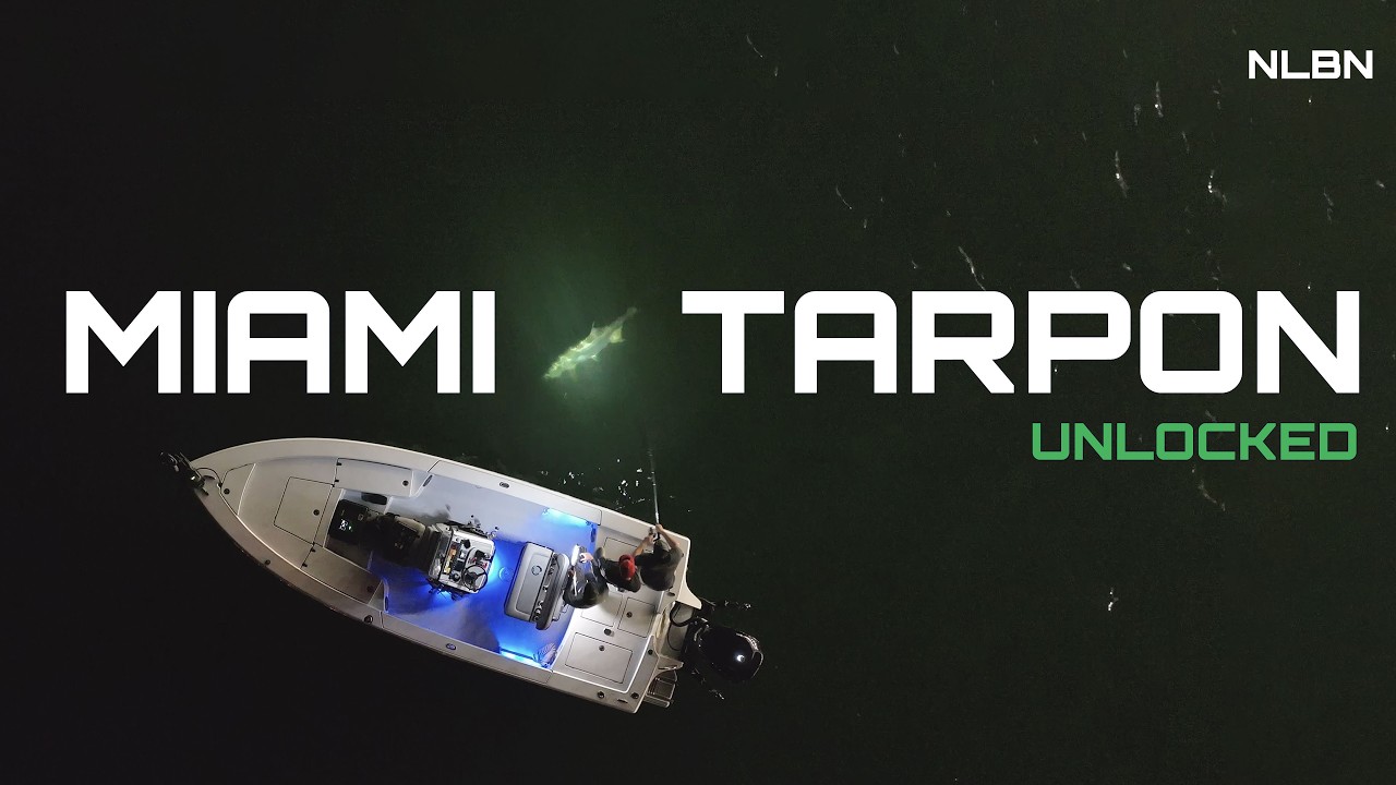 Decoding the Tarpon Bite: Testing New Baits in Miami