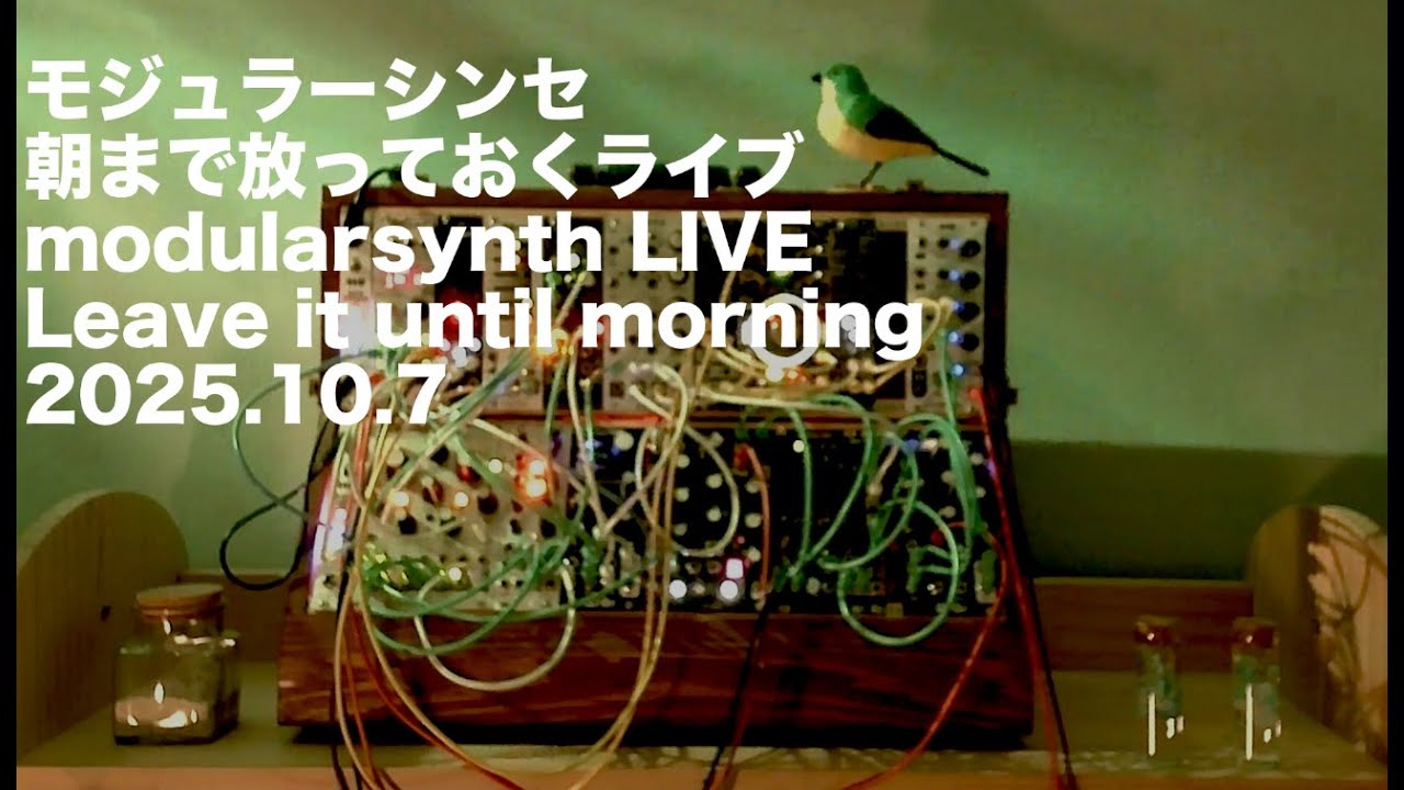 【モジュラーシンセ】朝まで放っておくライブ Leave it until morning- modular synth live 2025.10.7